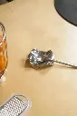 DSCF4974.webp