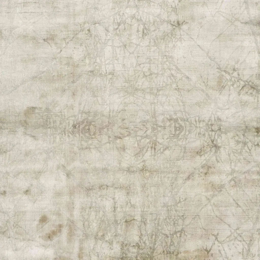 AimiSilver-lif.webp