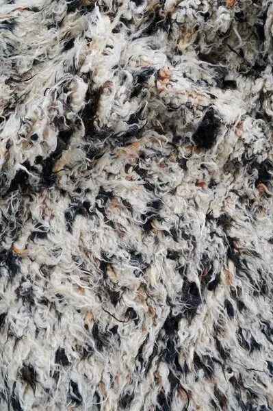 Turid mixed close up.webp