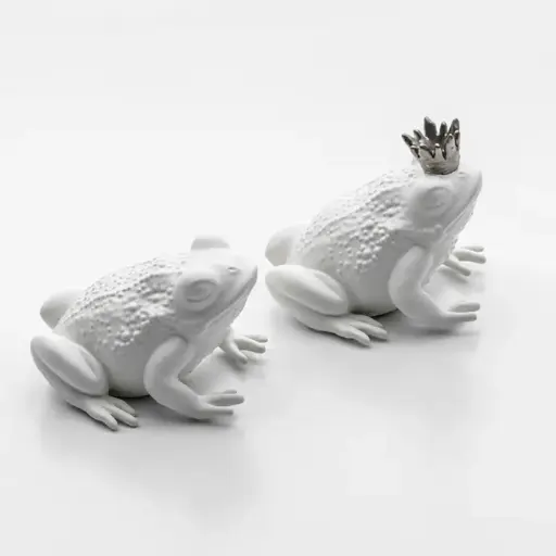 [Q496/3] Rana Prince / Blanca Corona Plata